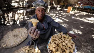 بالصور.. صناعة حلوى الجلّاب في صعيد مصر