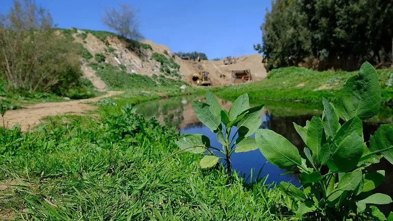 من أراضي نفايات لأراضٍ رطبة، كيف يعود وادي غزة للحياة؟