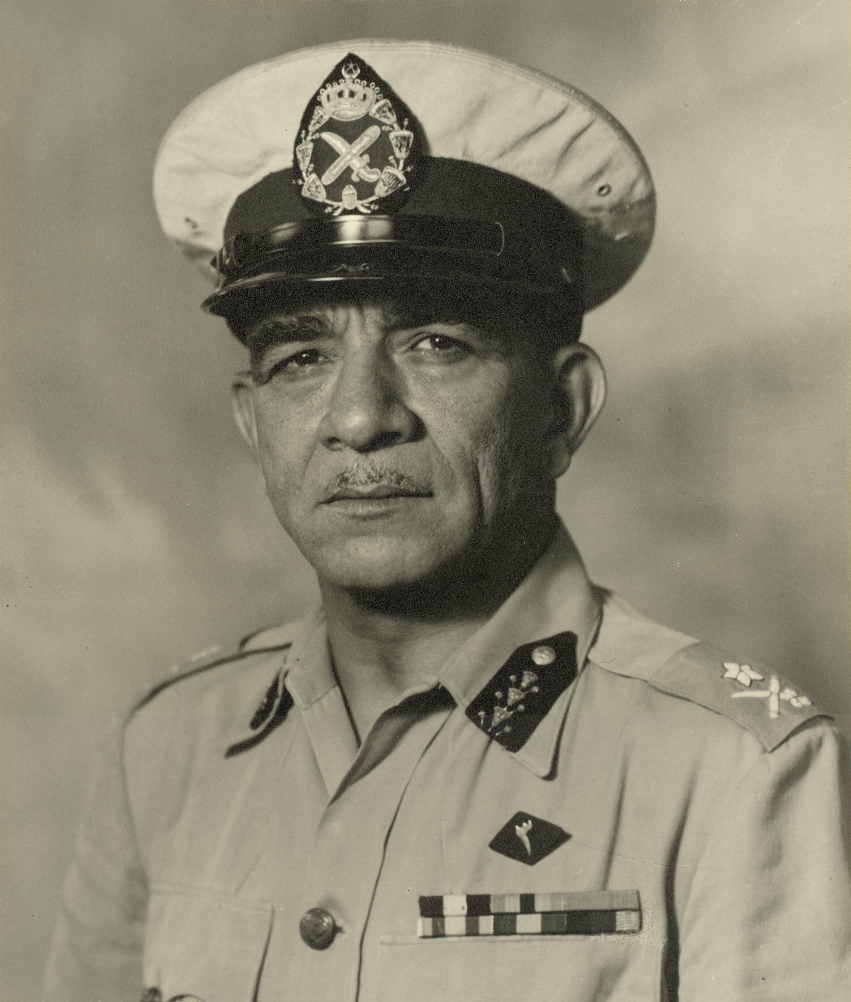 محمد نجيب