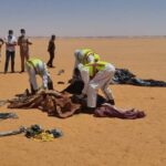 صعيد مصر