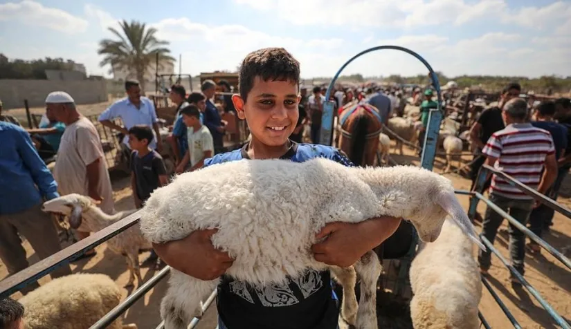 نون بوست