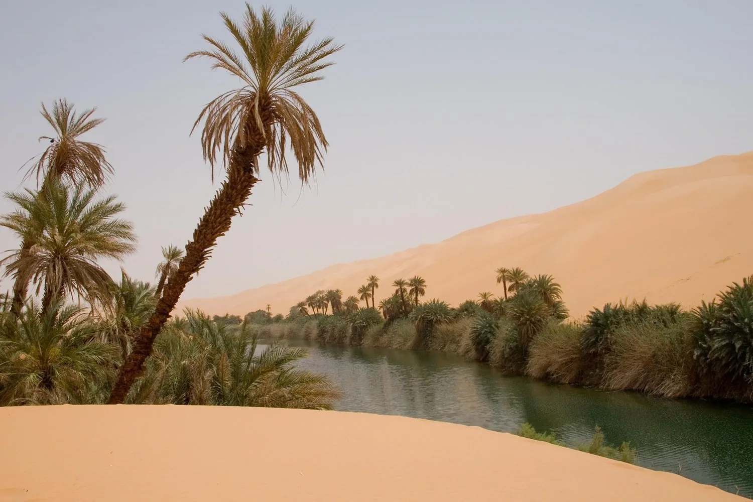 نون بوست