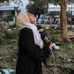 نون بوست