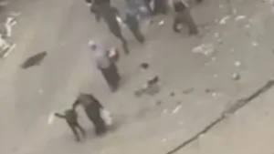 هالة خريس.. جدّة أعدمها جنود الاحتلال أمام حفيدها الذي يلوّح بالعلم الأبيض