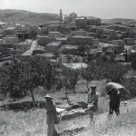 نون بوست