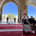نون بوست