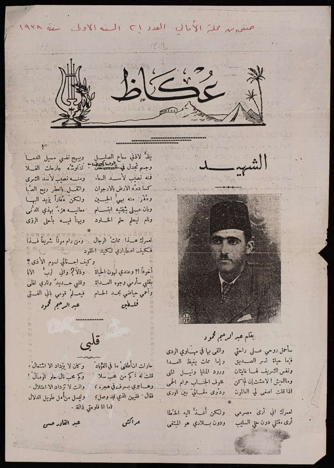 عكاظ