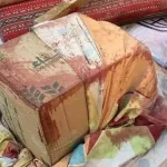 نون بوست