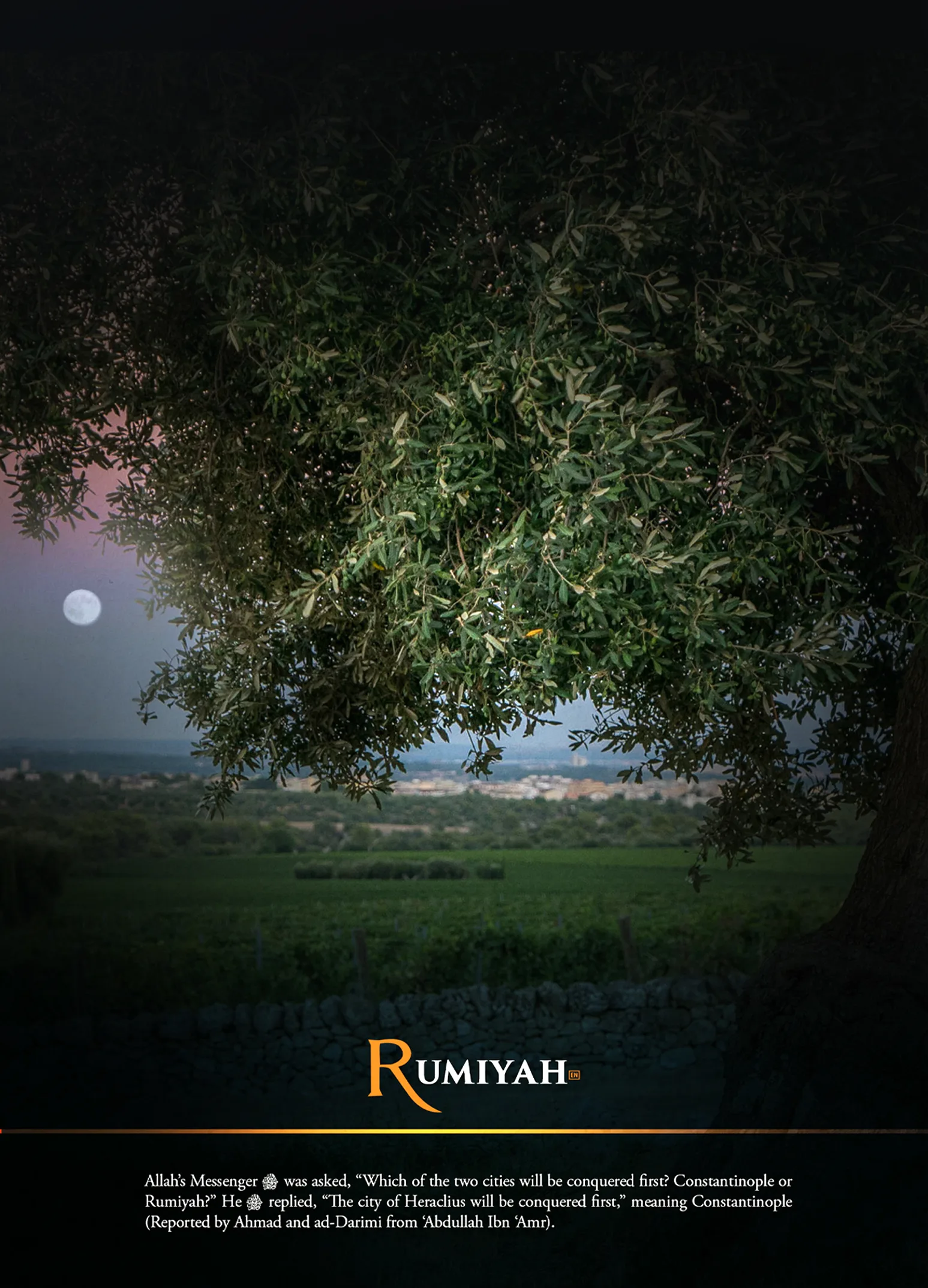 مجلة رومية