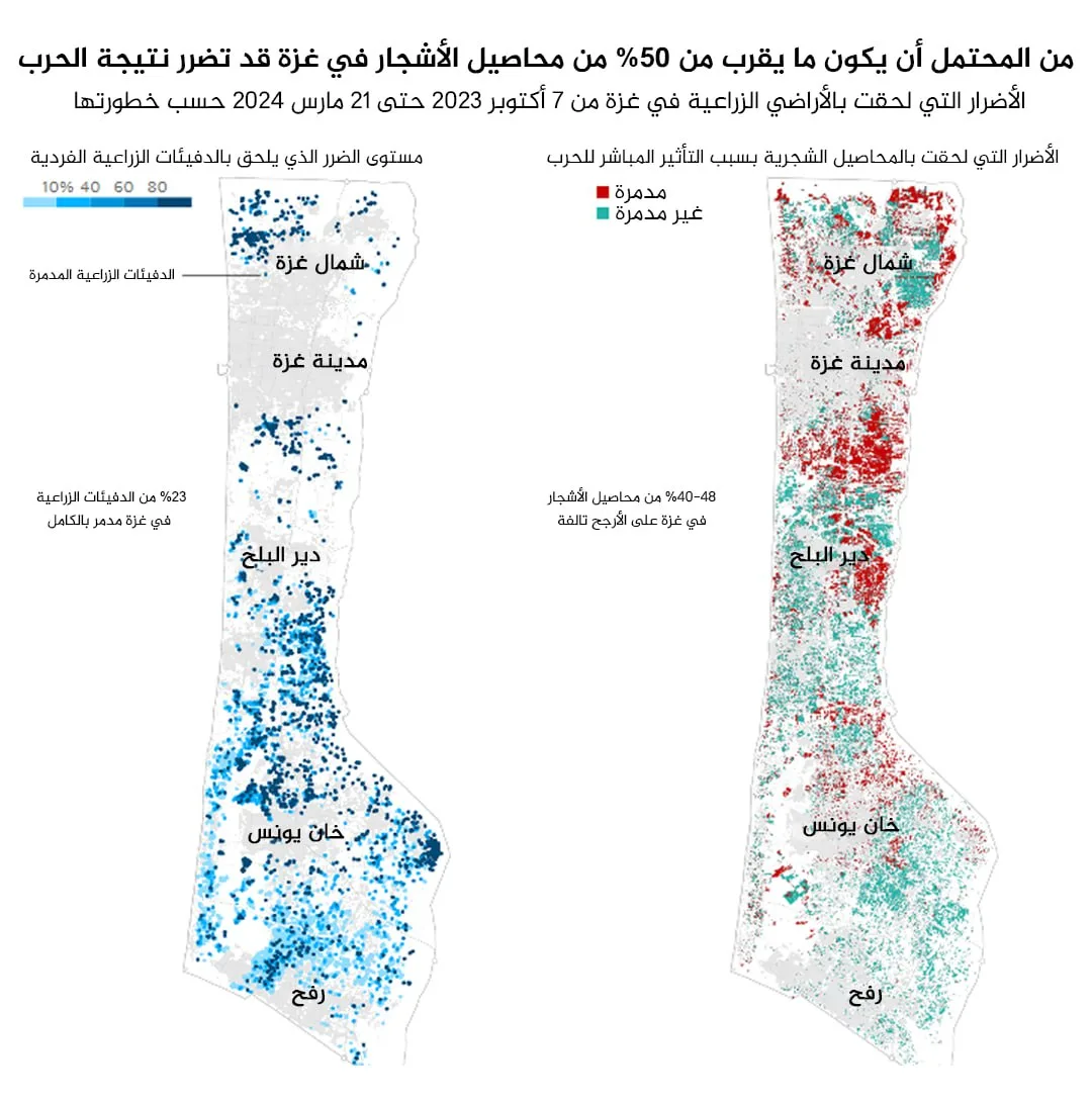 نون بوست