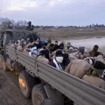 نون بوست