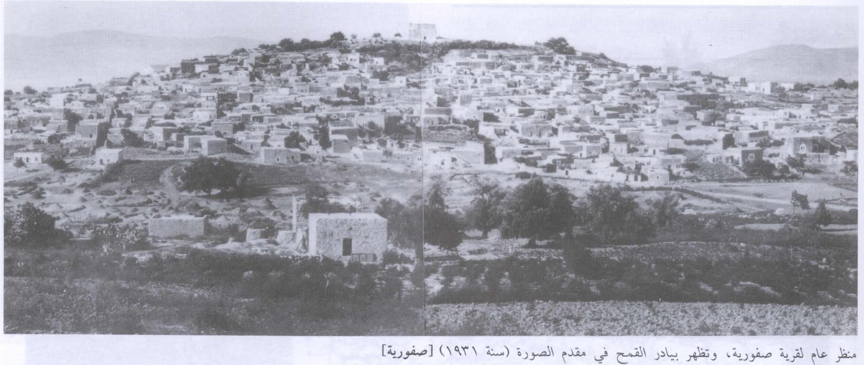 نون بوست