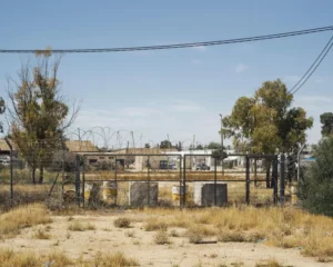 “أشبه بغوانتانامو”.. شهادات مروعة لأسرى غزيين في “سديه تيمان”