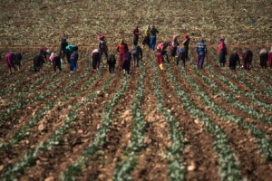 العمالة السورية ضرورة ملحّة لاقتصاد تركيا.. واعتداءات قيصري أبرزت ذلك