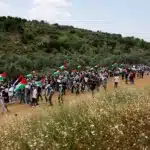 نون بوست