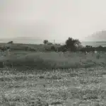 نون بوست