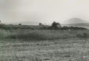 نون بوست