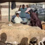 نون بوست