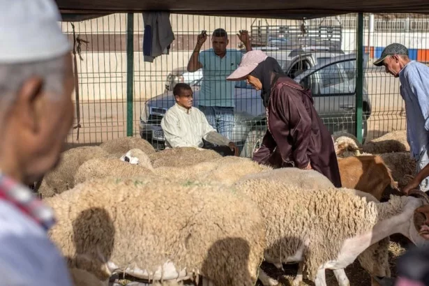 نون بوست