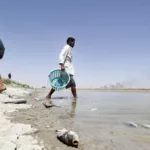 نون بوست