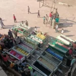 نون بوست