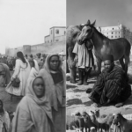 نون بوست
