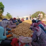 نون بوست