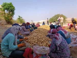 مزارع متفائل ومستهلك قلق.. تداعيات منع استيراد السلع في سوريا