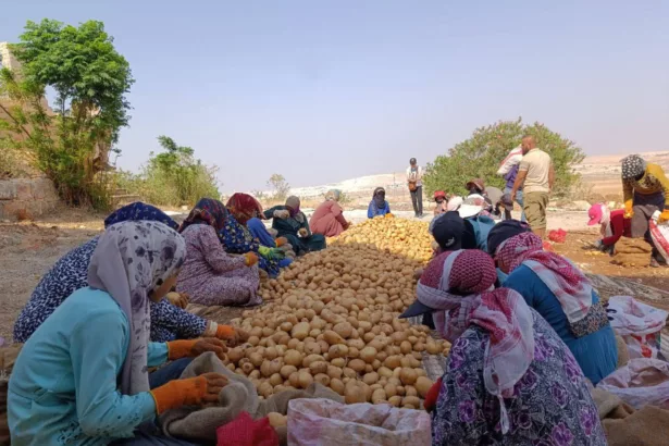 نون بوست