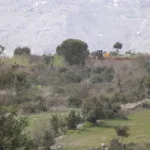 نون بوست