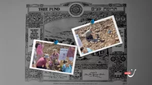 شتلة واحدة الآن ومستوطنة متغوّلة لاحقًا