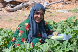 على الشرفات والأسطح.. الزراعة المنزلية سلاح العائلات ضد الغلاء