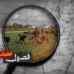 الزراعة الإسرائيلية: كيف صارت الحقول ثكنات والعاملون جنودًا؟ 2 نون بوست