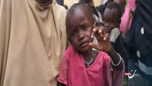 مدن تحتضر.. الحصار والتجويع يفتكان بالفاشر والدلنج وكادقلي