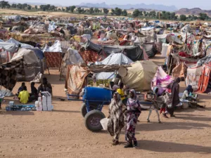 كادوقلي على خطى الفاشر: التجويع لإخضاع المدن وتهجير السكان