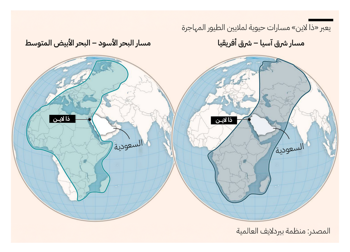 نهاية الخط: كيف انهار حلم نيوم في السعودية؟ 33 نون بوست