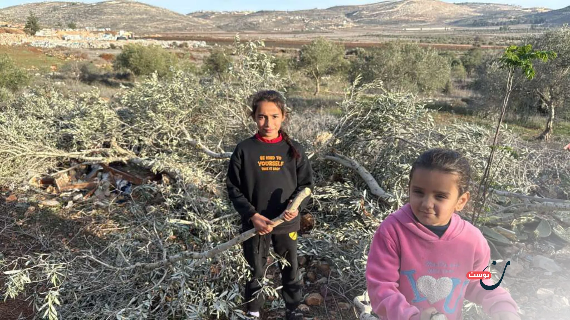 "المرة المقبلة لن يتركونا أحياء".. إرهاب المستوطنين يطوّق الفلسطينيين 22 نون بوست