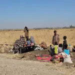 كردفان: مسرح الاستنزاف الجديد في حرب السودان