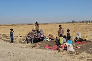 كردفان: مسرح الاستنزاف الجديد في حرب السودان