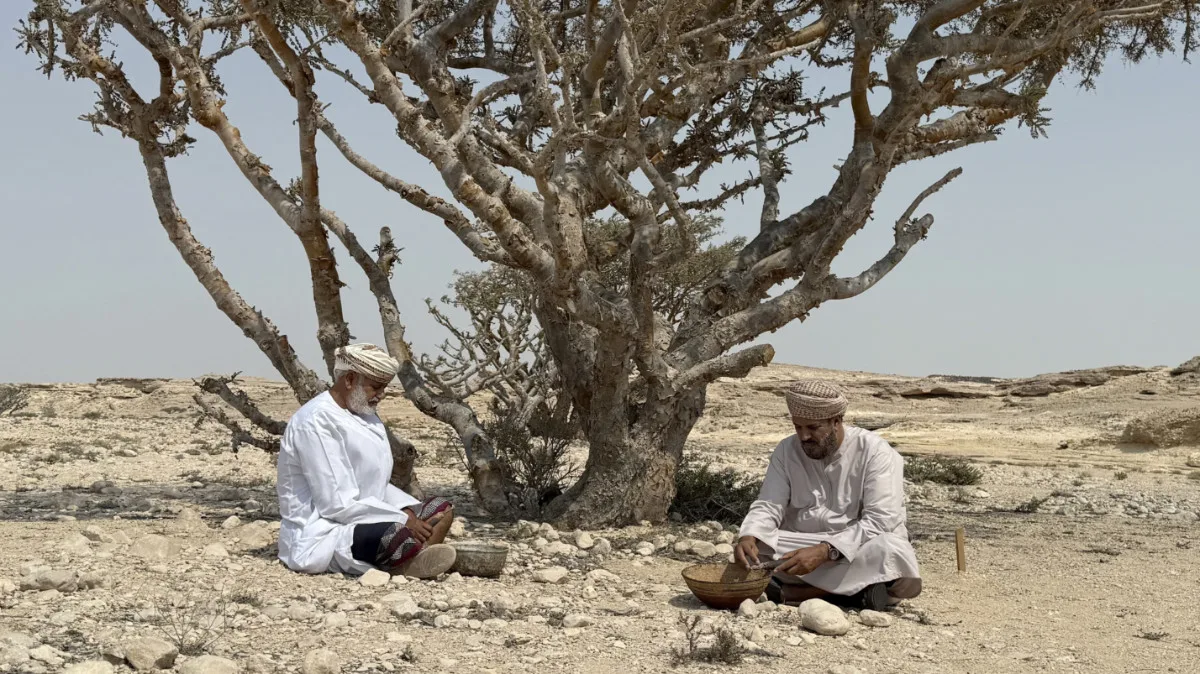 كيف تحولت عُمان من وسيط إلى شريك صامت للسعودية في الصراع اليمني؟ 24 نون بوست