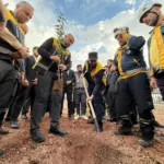 حملات التشجير في سوريا: هل تعوّض ما دمرته الحرب؟