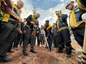 حملات التشجير في سوريا: هل تعوّض ما دمرته الحرب؟