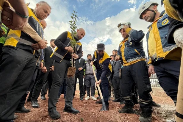 حملات التشجير في سوريا: هل تعوّض ما دمرته الحرب؟