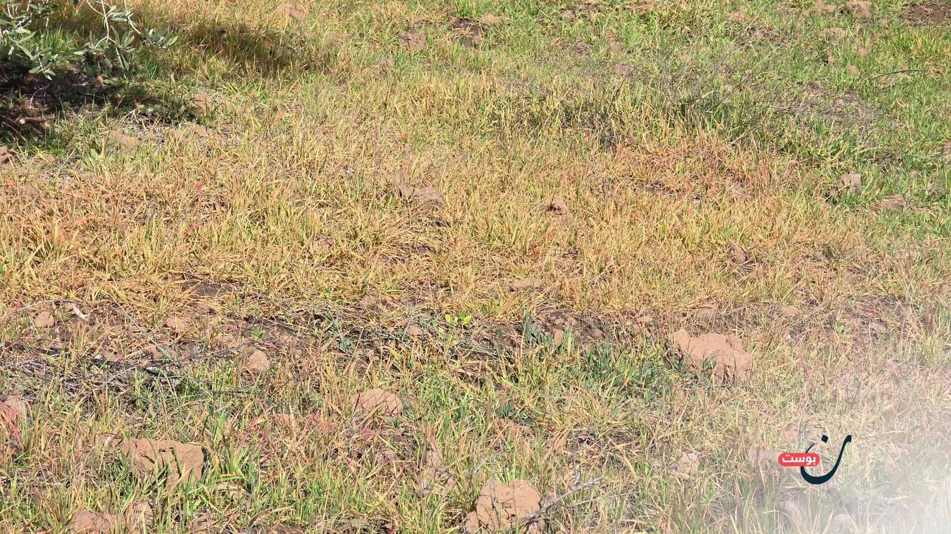 الاحتلال يعيد هندسة الجنوب السوري على نموذج الضفة 26 نون بوست