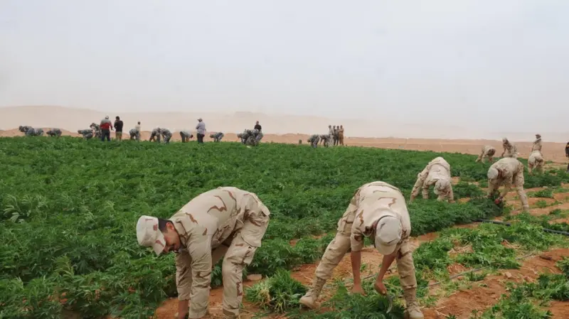 أنفاق في الجو: مسيّرات التهريب تكشف ثغرة أمنية إسرائيلية على الحدود 22 نون بوست