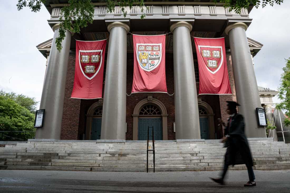 Harvard Under Fire: The Future of U.S. Higher Education 36 نون بوست