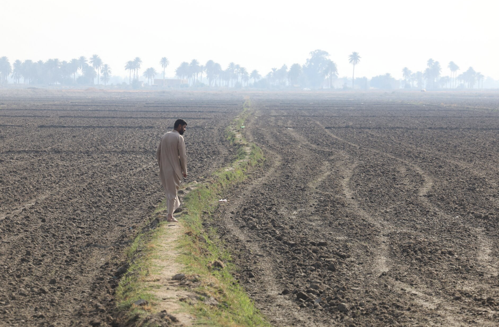 Three Seasons of Surplus, Then Came the Drought: Iraq Returns to Wheat Imports 32 نون بوست