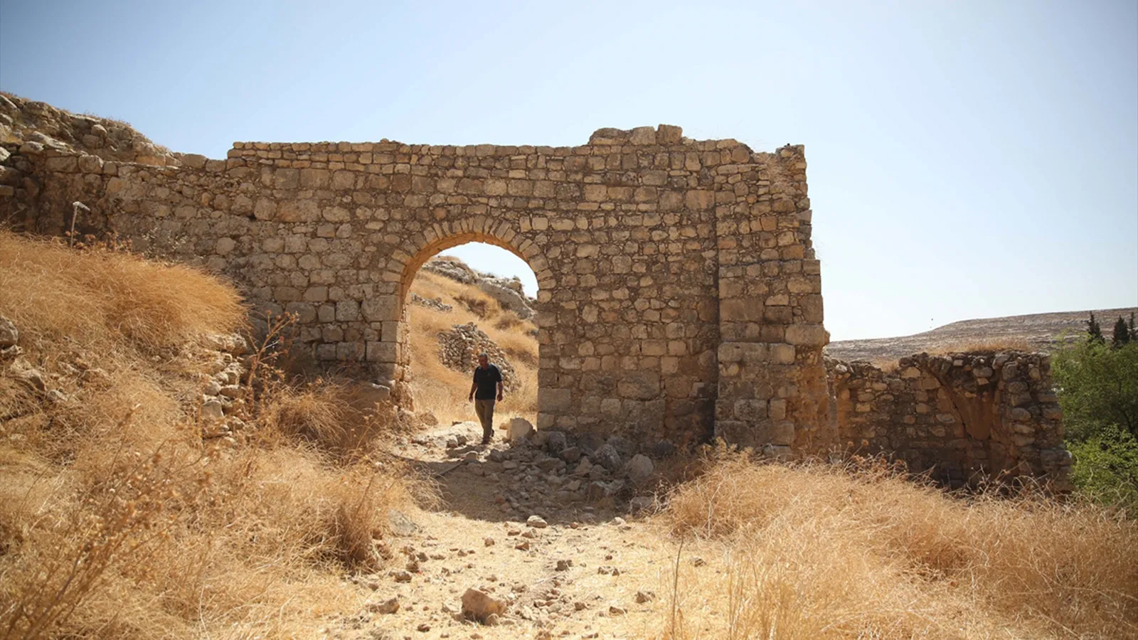 “Thirty Years I Farmed It”: The Story of the Stolen Land in Ein Samia 35 نون بوست