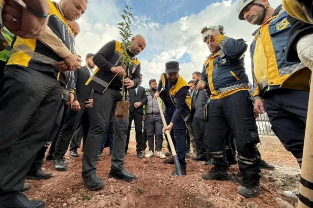 Syria’s Reforestation Campaigns: Can They Repair the War-Torn Landscape?