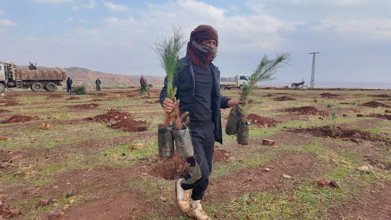 Syria’s Reforestation Campaigns: Can They Repair the War-Torn Landscape? 36 نون بوست